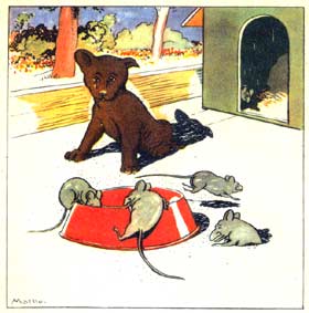 Flits de Herder en Bull de Dog