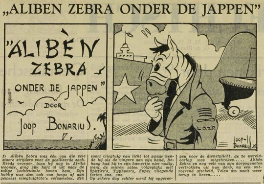 Aliben Zebra door Joop Bonarius