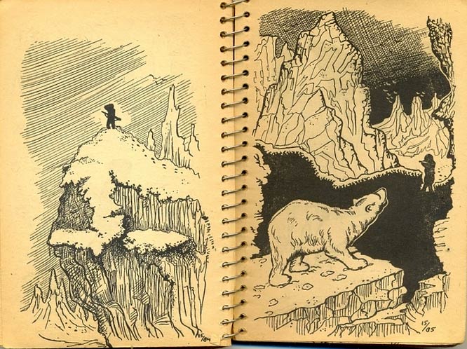 Op het poolijs by Jaap Beckmann