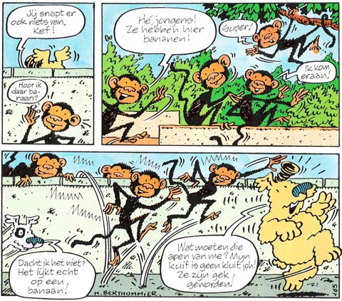 Touffu, by Martin Berthommier