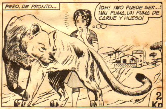 Sissi by Leandro Blasco