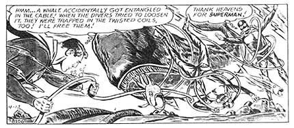 Superman, by Wayne Boring