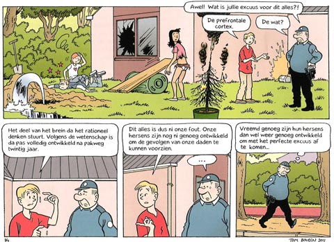 De Lustige Kapoentjes by Tom Bouden