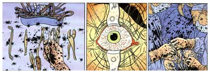 Hard Boiled, by Geof Darrow