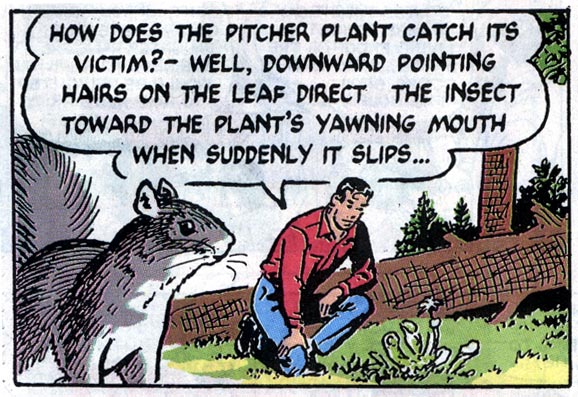 Mark Trail, by Jack Elrod