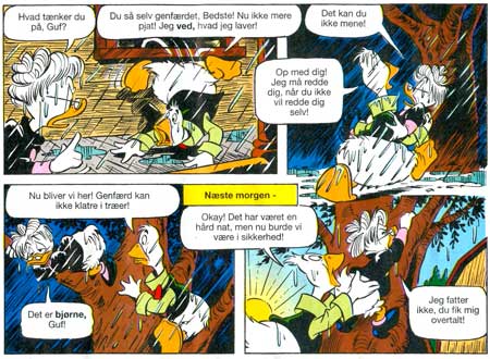 Grandma Duck by Esteban