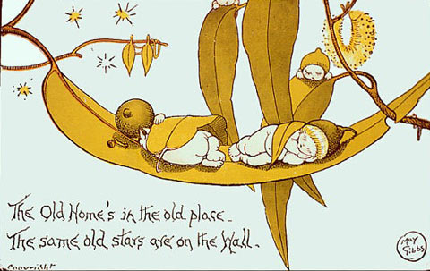 Wattlebabies, by Cecilia May Gibbs 1924