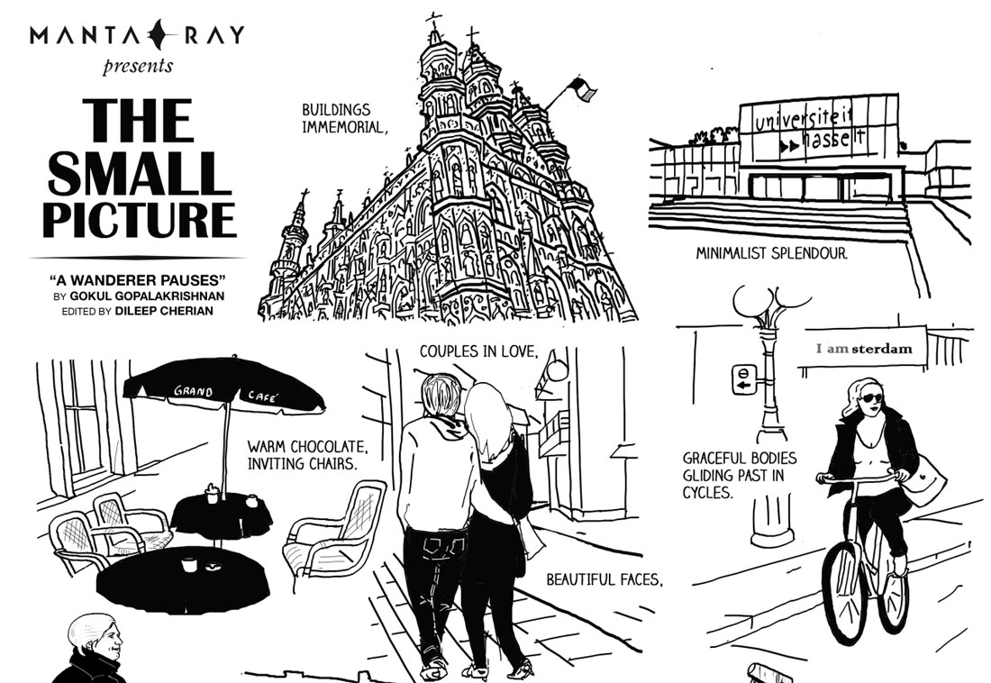 The Small Picture by Gokul Gopalakrishnan