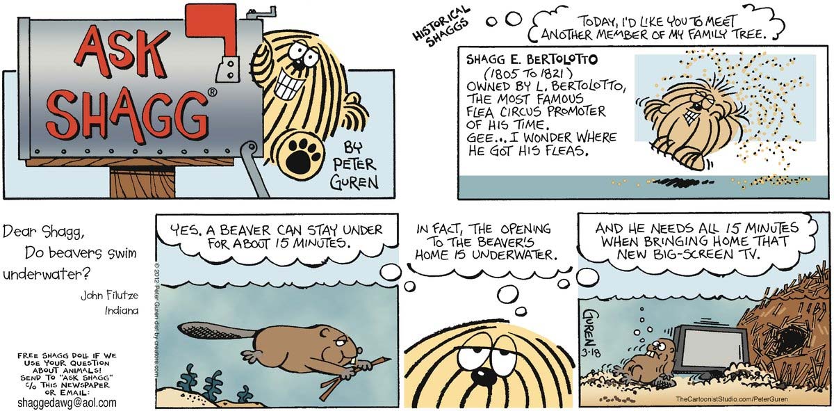 Ask Shagg, by Peter Guren 2002