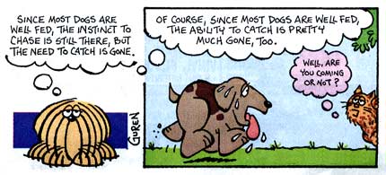 Ask Shagg, by Peter Guren 2002