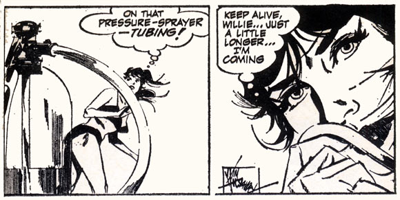 Modesty Blaise by Jim Holdaway