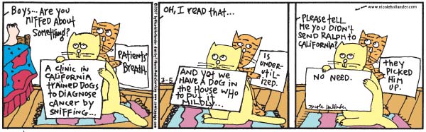 Sylvia, by Nicole Hollander