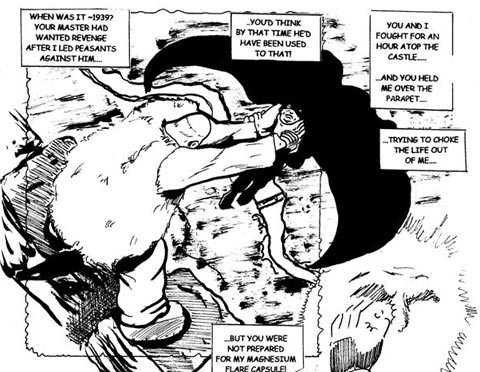 The Bat Triumphant by Terry Hooper