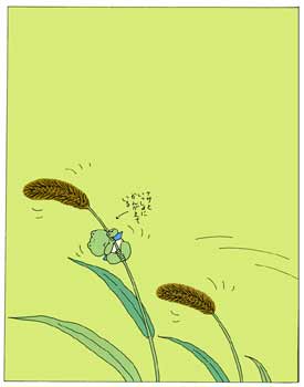 Reflections of a Frog, by Kazuo Iwamura