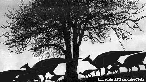 Saurolophus, by Berislav Krzic