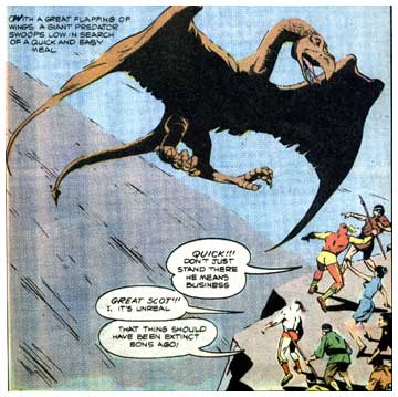 Judomaster, by Frank McLaughlin