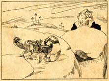 Knolletje in 't Spinnenland