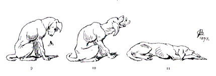 comic art by Apeles Mestres 1892