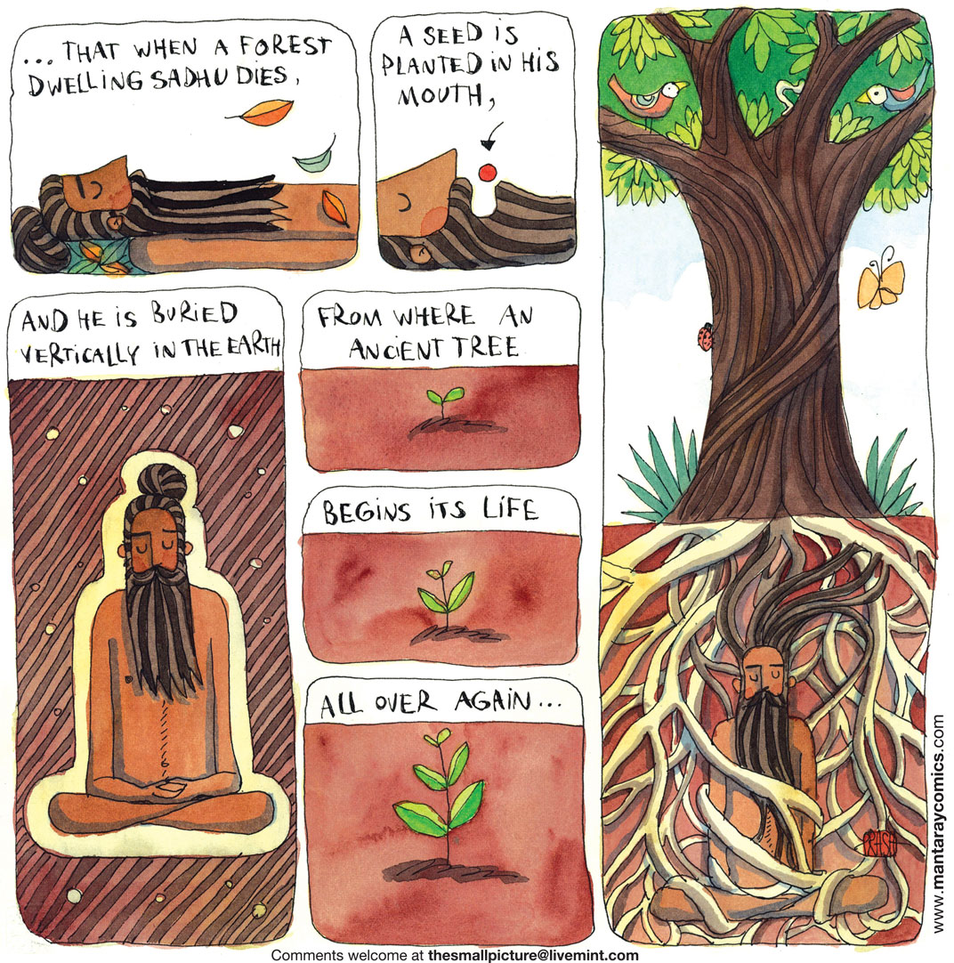 The Small Picture by Prashant Miranda