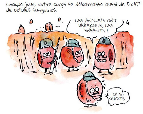 Tu mouras moins bête by Marion Montaigne