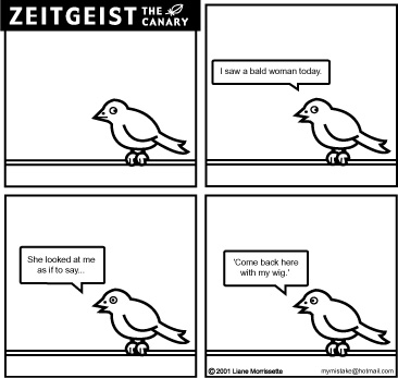 Zeitgeist the Canary, by Lianne Morrissette