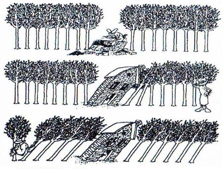 Cartoon by Branislav Obradovic