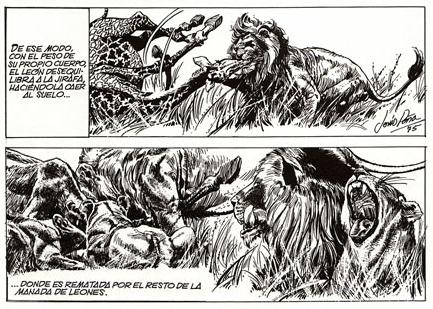 Africa, by Suso Pena