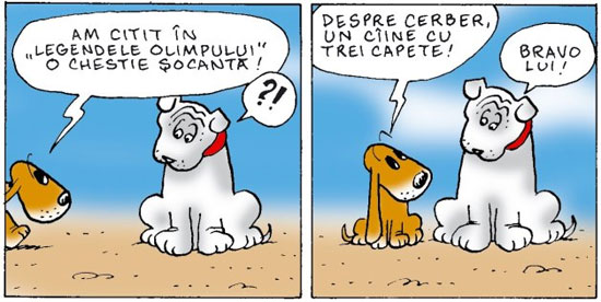 Oscar by Viorel Pirligras