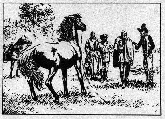 Old Shatterhand by Dick van de Pol