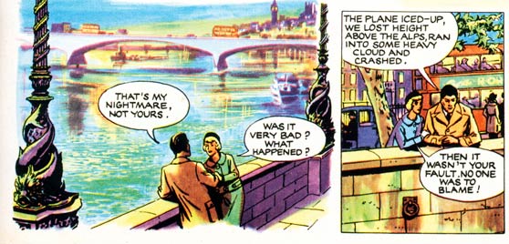 Angela, Air Hostess by Dudley Pout