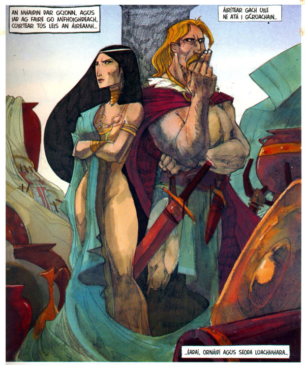 An Táin by Barry Reynolds