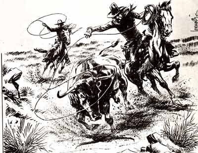 José Maria  Riba Compte