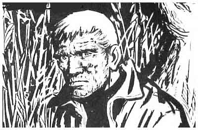 comic art by Julio Schiaffino