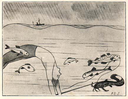 Beelden uit het rijk der visschen, by F.E Spiering