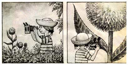 Kroosje, by Arie Teeuwisse