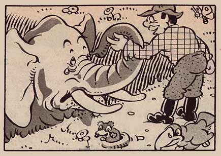 Tuimel, by Ben van Voorn