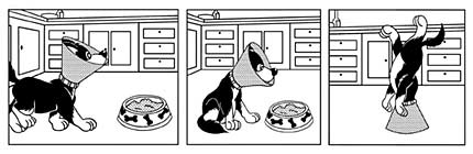 Hair of the Dawg, by Quinn Williams