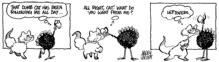 Motley, by Larry Wright