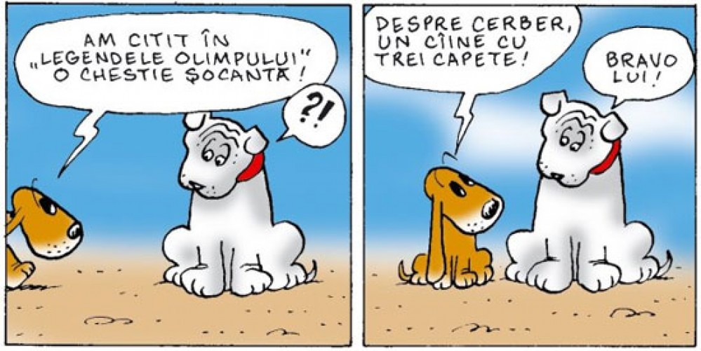 Viorel  Pîrligras