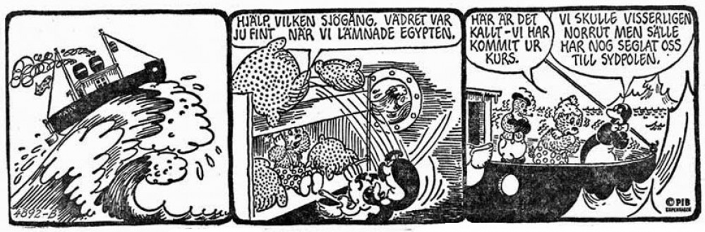 Tove  Norgaard