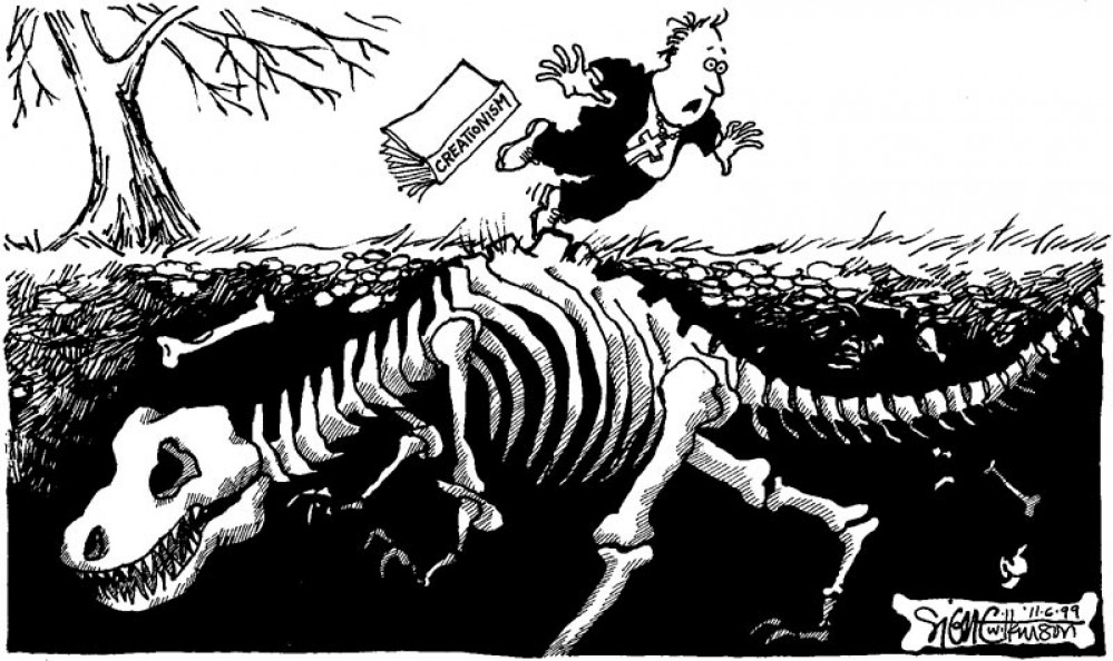 Signe  Wilkinson