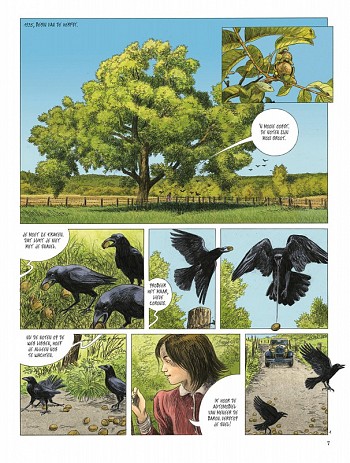 De raaf, het duifje en de kraai