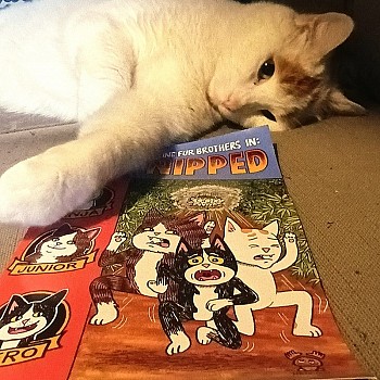 Cat-Nipped