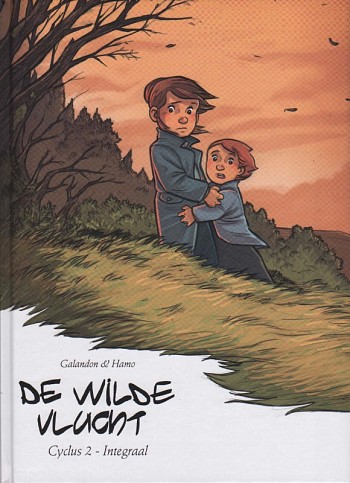 Cyclus 2 - Integraal