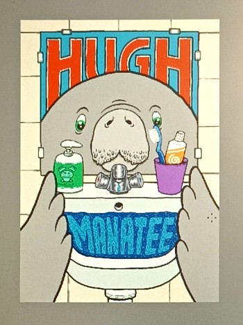 HUGH manatee