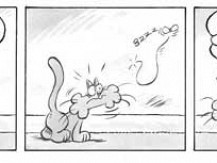 Jos&eacute; Abrantes