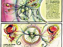 Ant&ocirc;nio Amaral