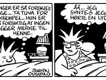 Bj&oslash;rn Ousland